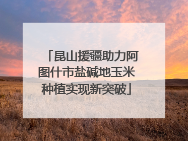 昆山援疆助力阿图什市盐碱地玉米种植实现新突破