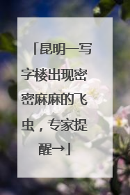 昆明一写字楼出现密密麻麻的飞虫，专家提醒→