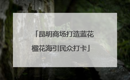 昆明商场打造蓝花楹花海引民众打卡