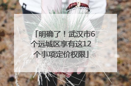 明确了！武汉市6个远城区享有这12个事项定价权限