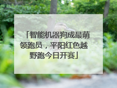 智能机器狗成最萌领跑员，平阳红色越野跑今日开赛