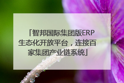 智邦国际集团版ERP生态化开放平台，连接百家集团产业链系统