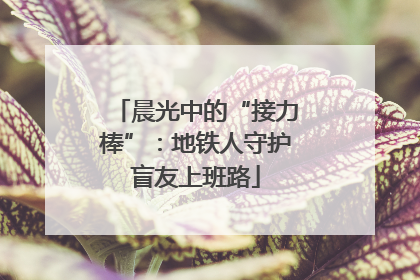 晨光中的“接力棒”：地铁人守护盲友上班路