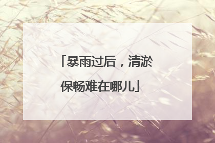 暴雨过后，清淤保畅难在哪儿