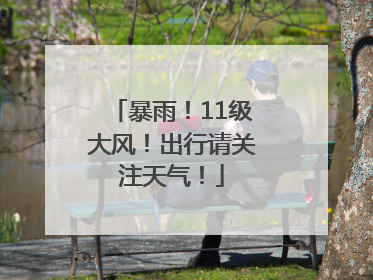 暴雨！11级大风！出行请关注天气！