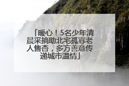 暖心！5名少年清晨采摘助北宅孤寡老人售杏，多方善意传递城市温情
