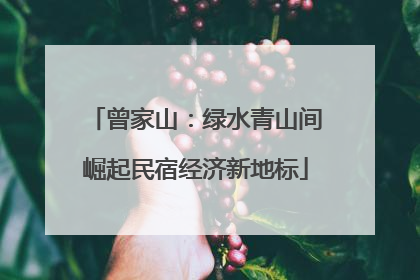 曾家山：绿水青山间崛起民宿经济新地标