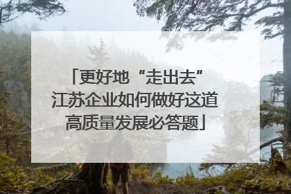 更好地“走出去” 江苏企业如何做好这道高质量发展必答题