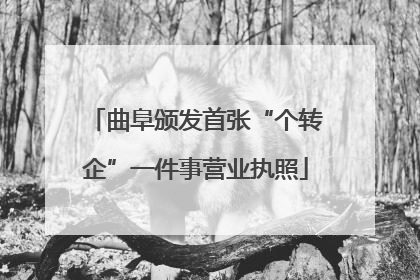 曲阜颁发首张“个转企”一件事营业执照