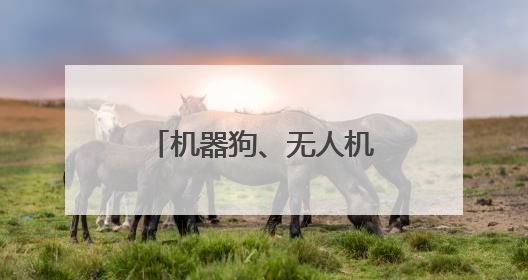 机器狗、无人机上阵！深圳福田举办综合应急演练护航十五运会