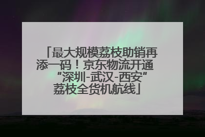 最大规模荔枝助销再添一码！京东物流开通“深圳-武汉-西安” 荔枝全货机航线