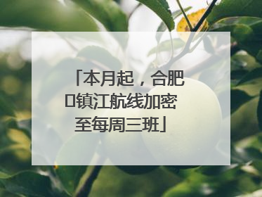 本月起，合肥⇋镇江航线加密至每周三班