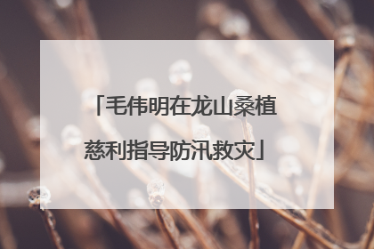 毛伟明在龙山桑植慈利指导防汛救灾