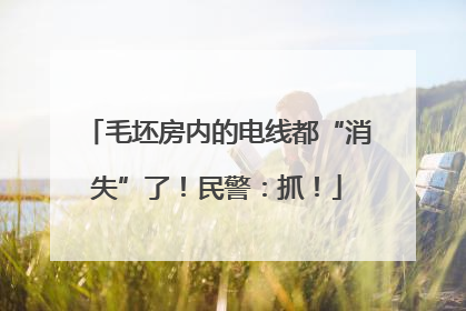 毛坯房内的电线都“消失”了！民警：抓！