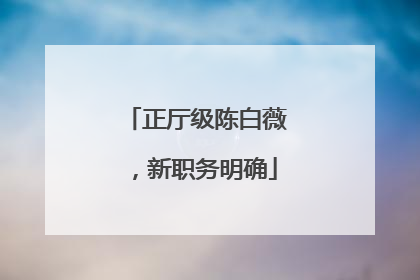 正厅级陈白薇，新职务明确