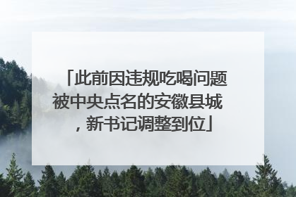 此前因违规吃喝问题被中央点名的安徽县城，新书记调整到位