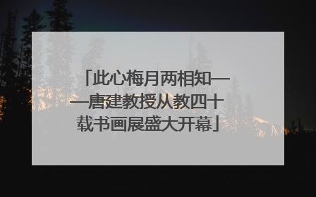 此心梅月两相知——唐建教授从教四十载书画展盛大开幕