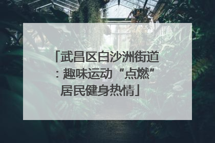 武昌区白沙洲街道：趣味运动“点燃”居民健身热情