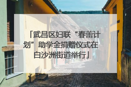 武昌区妇联“春蕾计划”助学金捐赠仪式在白沙洲街道举行