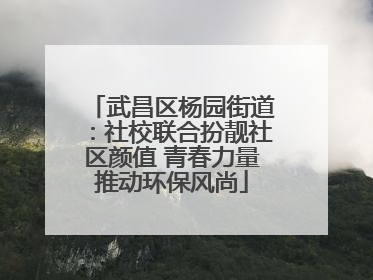 武昌区杨园街道：社校联合扮靓社区颜值 青春力量推动环保风尚