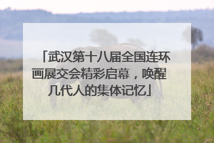 武汉第十八届全国连环画展交会精彩启幕，唤醒几代人的集体记忆