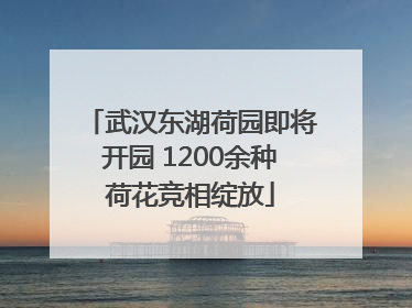 武汉东湖荷园即将开园 1200余种荷花竞相绽放
