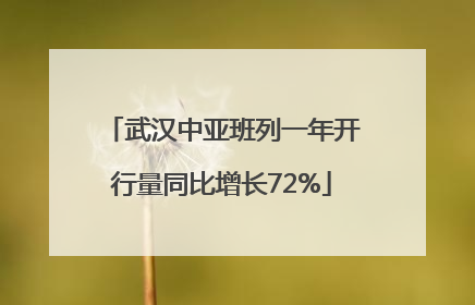 武汉中亚班列一年开行量同比增长72%