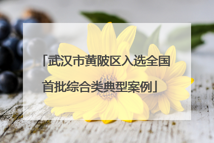 武汉市黄陂区入选全国首批综合类典型案例