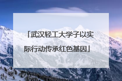 武汉轻工大学子以实际行动传承红色基因