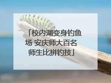 校内湖变身钓鱼场 安庆师大百名师生比拼钓技