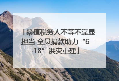 桑植税务人不等不靠显担当 全员捐款助力“6·18”洪灾重建
