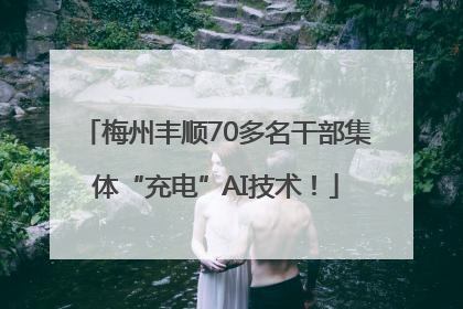 梅州丰顺70多名干部集体“充电”AI技术！