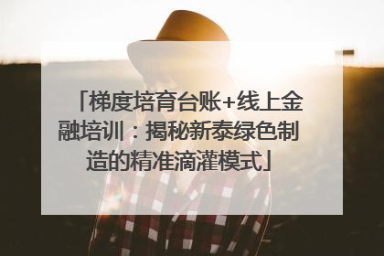 梯度培育台账+线上金融培训：揭秘新泰绿色制造的精准滴灌模式