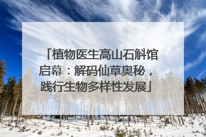 植物医生高山石斛馆启幕：解码仙草奥秘，践行生物多样性发展