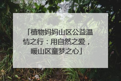 植物妈妈山区公益温情之行：用自然之爱，暖山区童梦之心