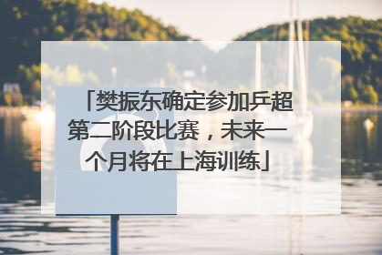 樊振东确定参加乒超第二阶段比赛，未来一个月将在上海训练