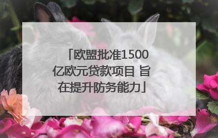 欧盟批准1500亿欧元贷款项目 旨在提升防务能力