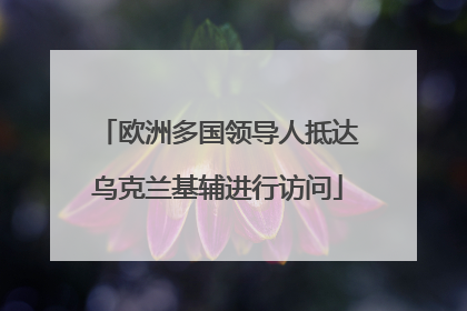 欧洲多国领导人抵达乌克兰基辅进行访问