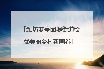 潍坊寒亭固堤街道绘就美丽乡村新画卷