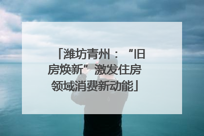 潍坊青州：“旧房焕新”激发住房领域消费新动能