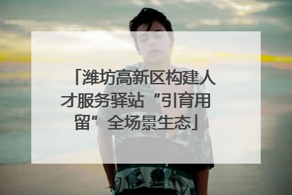 潍坊高新区构建人才服务驿站“引育用留”全场景生态