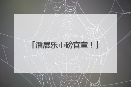 潘展乐重磅官宣！