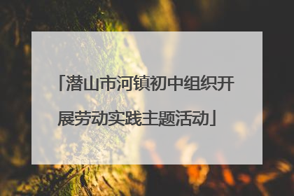 潜山市河镇初中组织开展劳动实践主题活动