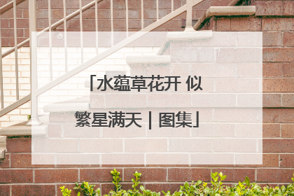 水蕴草花开 似繁星满天｜图集