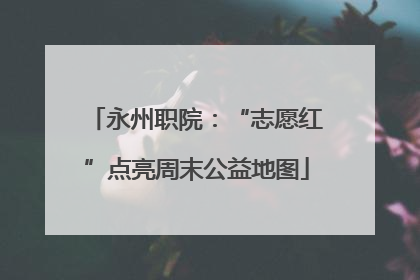 永州职院：“志愿红”点亮周末公益地图