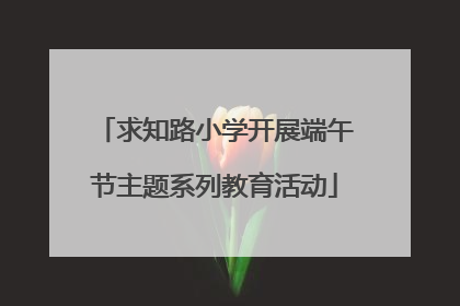 求知路小学开展端午节主题系列教育活动