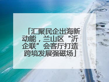 汇聚民企出海新动能，兰山区“沂企联”会客厅打造跨境发展强磁场