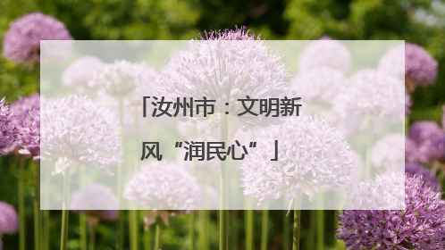 汝州市：文明新风“润民心”