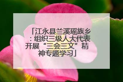 江永县兰溪瑶族乡：组织三级人大代表开展“三会三文”精神专题学习
