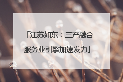 江苏如东：三产融合 服务业引擎加速发力